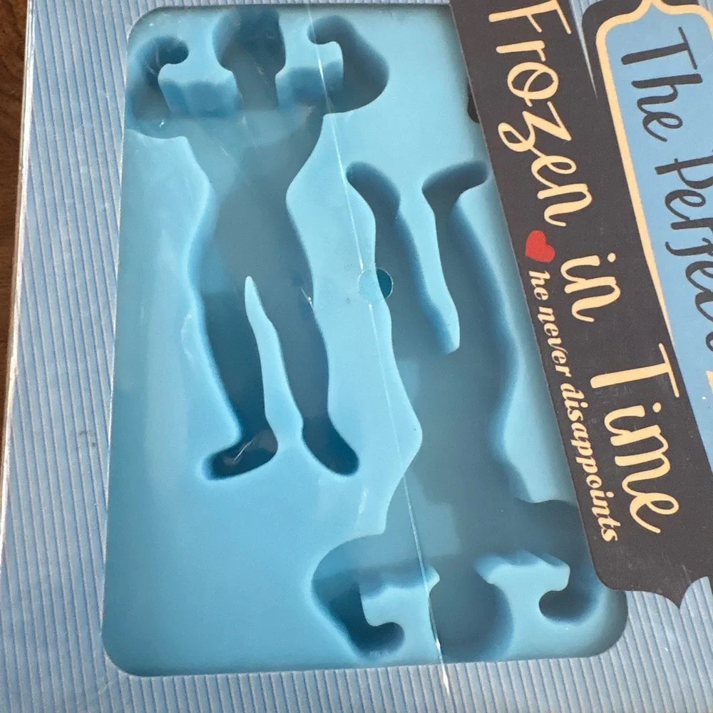 The Perfect Man Ice‎ Cube Mold Frozen In Time Gag Gift Barware Bridal Wedding